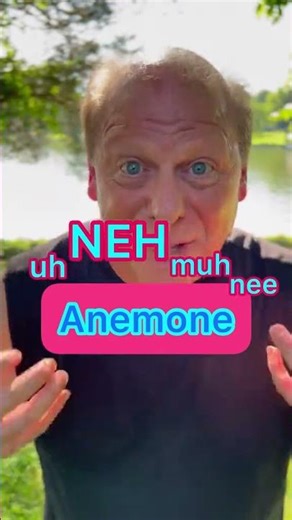 How do you say Anemone?