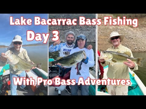 Lake Bacarrac Bass Fishing with Pro Bass Adventures: Day 3