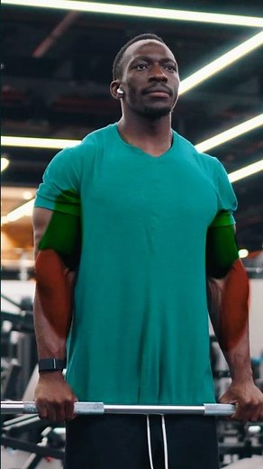 Barbell Reverse Curl: Killer Forearm Workout