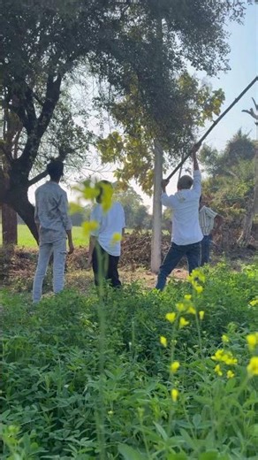 Gama aale 😌#reels #villagelife #vibes