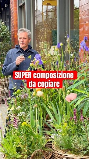 Floral arrangement to copy. #gardening #garden #plants #nature #plants #gardening #flowers