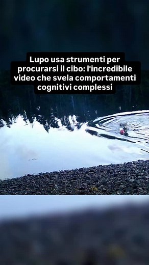 363K views · 3K reactions | Un recente studio pubblicato sulla...