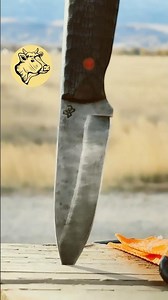 Going for a walkabout