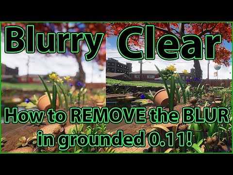 How to REMOVE the BLUR in GROUNDED 0 11! (Still works!) Grounded Tips and Tricks!