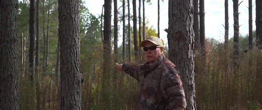 Mississippi timber markets disrupted as EU rule takes effect early