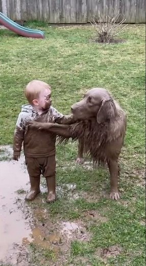 😂 Baby & Dog Mud Disaster! | Backyard Fun Gone Wild