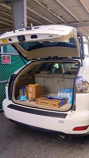 Lexus RX350 Liftgate Not Staying Open: Easy DIY Fix