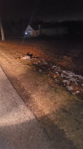 Listens to SpellBook once... | SpellBook