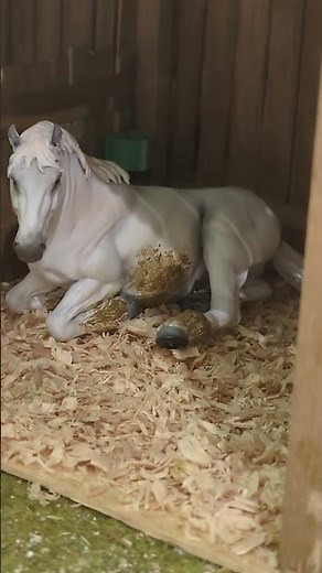 It's nap time at the stud farm 😴💤