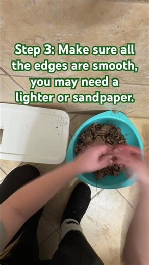 Let’s make a humid hide for snakes!