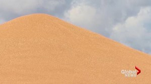 Foreign demand for Canadian barley brings spike in price