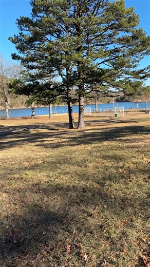 Bring the whole family! Reserve your cabin today! https://gwrymca.org/locations/ymca-trout-lodge/bluff-view-cabins | YMCA Trout Lodge