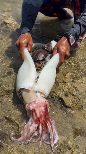 Giant Squid Opens to Reveal Shocking Deep Sea Creatures! 😱🦑🐟 | Amazing Ocean Catch