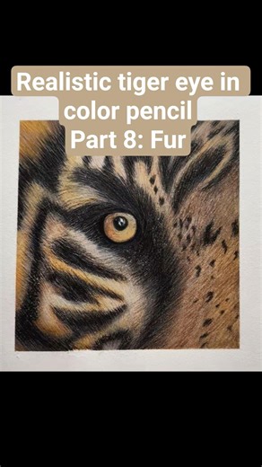Drawing a Hyper-Realistic Tiger Eye (Time-lapse)🐯🖌 #shorts