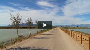 Virtual Walks - Wetlands & Lakes for Indoor Walking, Treadmill and Cycling Workouts