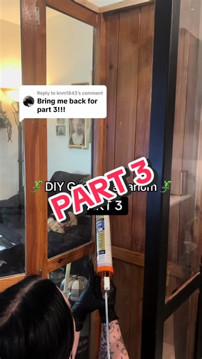 DIY Crested Gecko Terrarium Build – Part 3