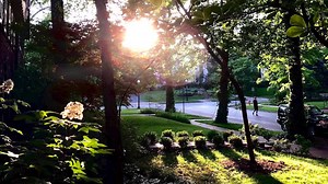 1.8K views · 43 reactions | The Webster University community mourns the passing of alumna, donor, former trustee, and long-time advocate Elizabeth Thurmond Robb, who passed away Friday. She had an enormous impact on Webster University and will be missed: https://bit.ly/3ba8XB9 | Webster University | Facebook