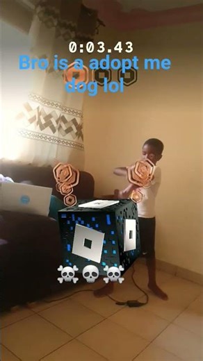 the roblox box of hats and robux