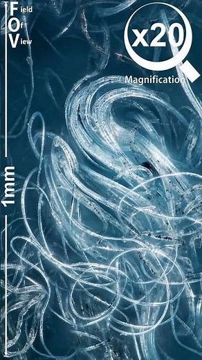 Microfiber Cleaning Cloth in x200 Magnification