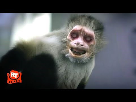 Zoombies (2016) - Zombie Monkey Scene | Movieclips