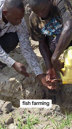 The Benefits of Fish Farming for Sustainable Growth