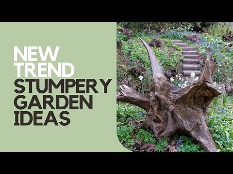 Transform a shady corner of your garden with a stunning stumpery