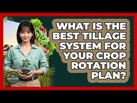 What Is The Best Tillage System For Your Crop Rotation Plan? - The World of Agriculture