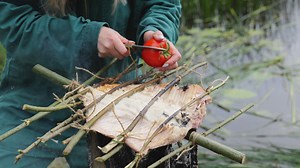 7.5K views · 34 reactions | Kochen am Fluss mit fangfrischem Fisch | 5-Minuten-Tricks für Männer | Facebook