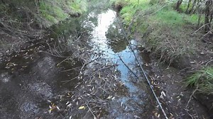 When you catch a decent fish in a trickle of water... | Robbie Alexander Photography and Fishing