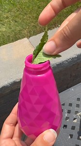 easy DIY bug spray | Brooklyn B