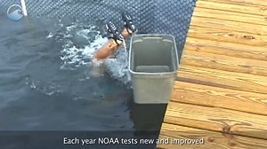 Turtle excluder nets have saved the lives of many sea turtles. Watch to learn what excluder nets are and how they work: https://oceantoday.noaa.gov/fullmoon-saving-turtles/welcome.html | NOAA Ocean Today