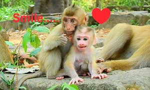 1.2M views · 60K reactions | the best sister in the world..Rainbow giving baby sister Lucie all her love&care by honest heart | Animals JoJo Family | Facebook