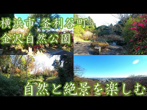 ( 4K ) 神奈川県 散歩 横浜市 金沢自然公園を歩く ( Walk kanazawa nature park )