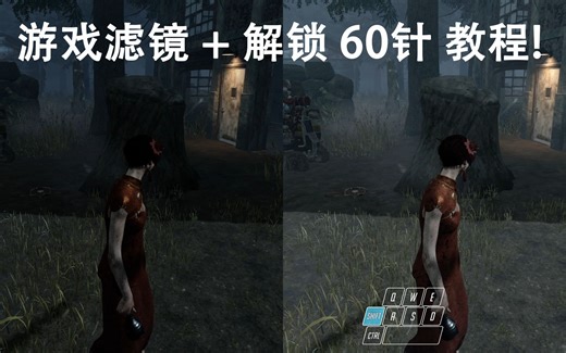 【黎明杀机张逸凡】如何解锁60帧限制达到120FPS 和 如何添加游戏滤镜教程 ! 2P