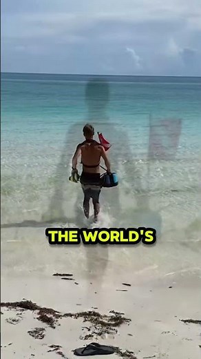 Diving without tanks HASSLE-FREE. Battery-Powered Diving is Here.