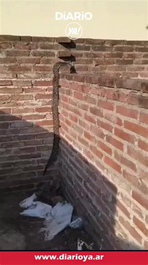 Diario YA | 𝐁𝐨𝐦𝐛𝐞𝐫𝐨𝐬 𝐚𝐜𝐭𝐮𝐚𝐫𝐨𝐧 𝐚𝐧𝐭𝐞 𝐞𝐥 𝐡𝐚𝐥𝐥𝐚𝐳𝐠𝐨 𝐝𝐞 𝐮𝐧𝐚 𝐥𝐚𝐦𝐩𝐚𝐥𝐚𝐠𝐮𝐚 🚨Una intervención de Bomberos Voluntarios de Las Breñas se activó este martes por la... | Instagram