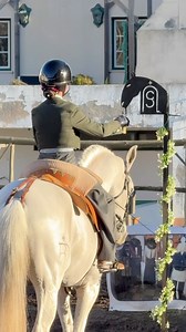 15K views · 184 reactions | Olá a todos! Youth. Courage. Future. ✨...