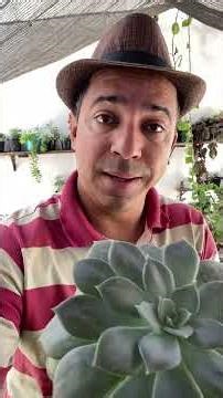 5 Plants for Sun and Shade