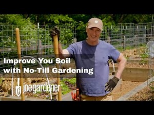 How To Open Up and Improve Your Soil With No-Till Gardening