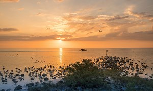 Marathon to Key West by boat, everything you should know