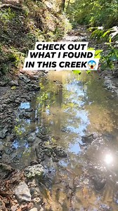 Mako shark tooth found in the creek 🤩 | Cristina Mazza Schoonard