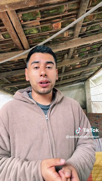 Solución para que tu gallina no se coma los huevos