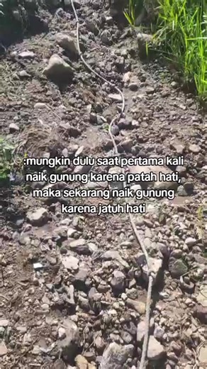 #fyp #mendaki #gunung