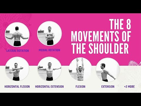 Shoulder Joint Movement