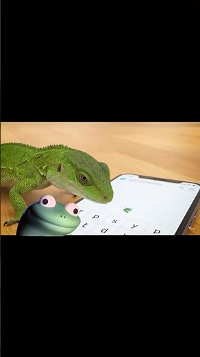 lizard meme on tiktok #lizard #memes