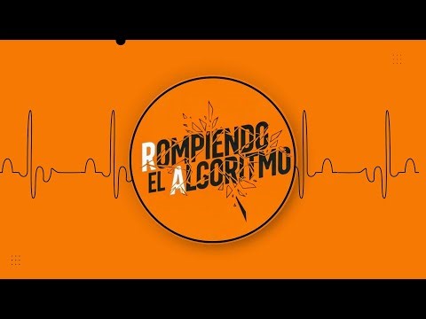 🌐✨ Rompiendo el Algoritmo – Programa 13 en Streaming ✨🌐
