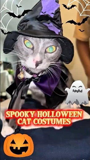 TOP 5 SPOOKY HALLOWEEN CAT COSTUMES! 👻🎃 #HalloweenCats #FunnyPetCostumes #CatLoversUSA