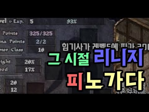 기사 전성시대부터 버그베어 장사까지! 추억의 옛날 리니지 썰