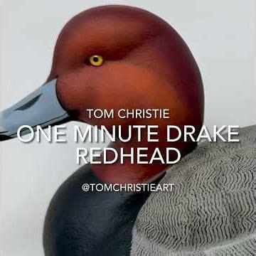 One minute Drake Redhead Decoy #paintingmethod #decoys #paintingtechniques #duckhunting #decoycarver