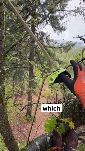 Rock Exotica Downrigger and Edelrid Megawatt micro-rigging setup for sub-500lb branches